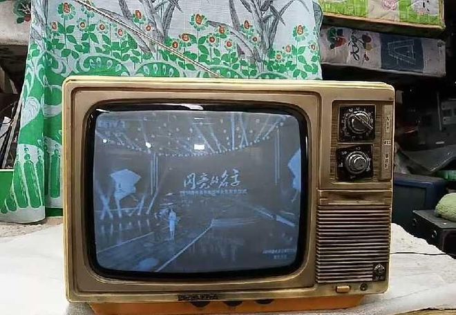 今三家易主只剩下一家成为一线品牌龙8囯际中国冰箱界的四朵金花如(图4)