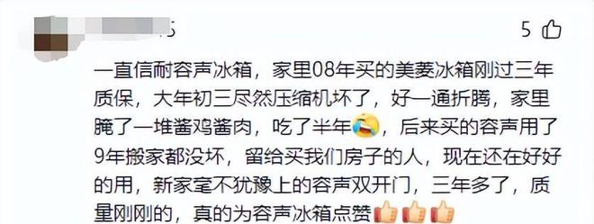 今三家易主只剩下一家成为一线品牌龙8囯际中国冰箱界的四朵金花如(图3)