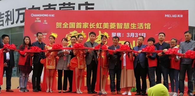 今三家易主只剩下一家成为一线品牌龙8囯际中国冰箱界的四朵金花如(图12)