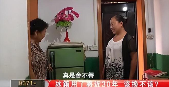 今三家易主只剩下一家成为一线品牌龙8囯际中国冰箱界的四朵金花如(图11)