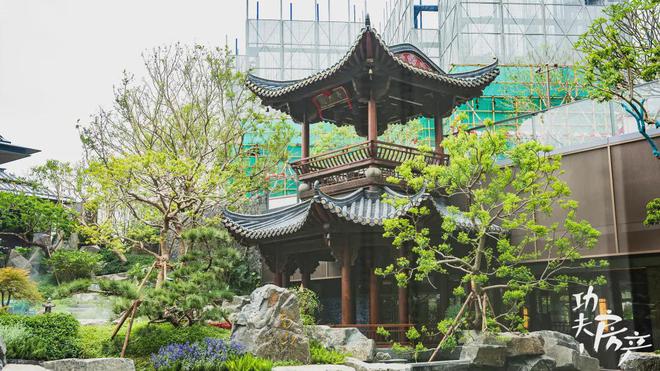 超配”产品总价150万起！首日登记已破百！禅桂芯“