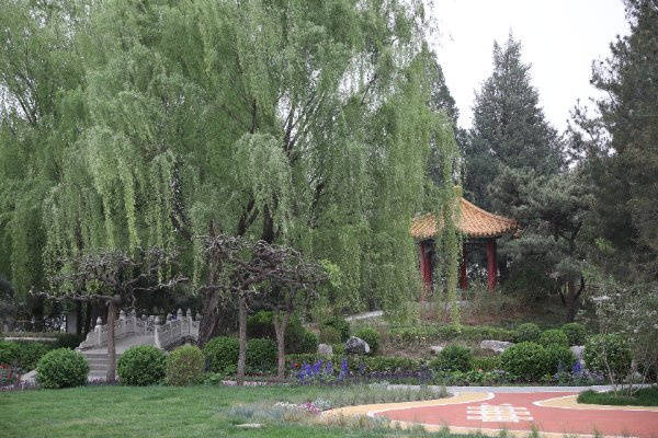 孙河老年公寓社交陪伴防跌倒安全保障查询2026最新北京失智老人安全照护康语轩(图22) 孙河老年公寓社交陪伴防跌倒安全保障查询2026最新北京失智老人安全照护康语轩(图22)